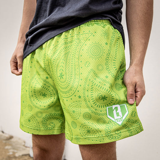 Paisley shorts, paisley print shorts