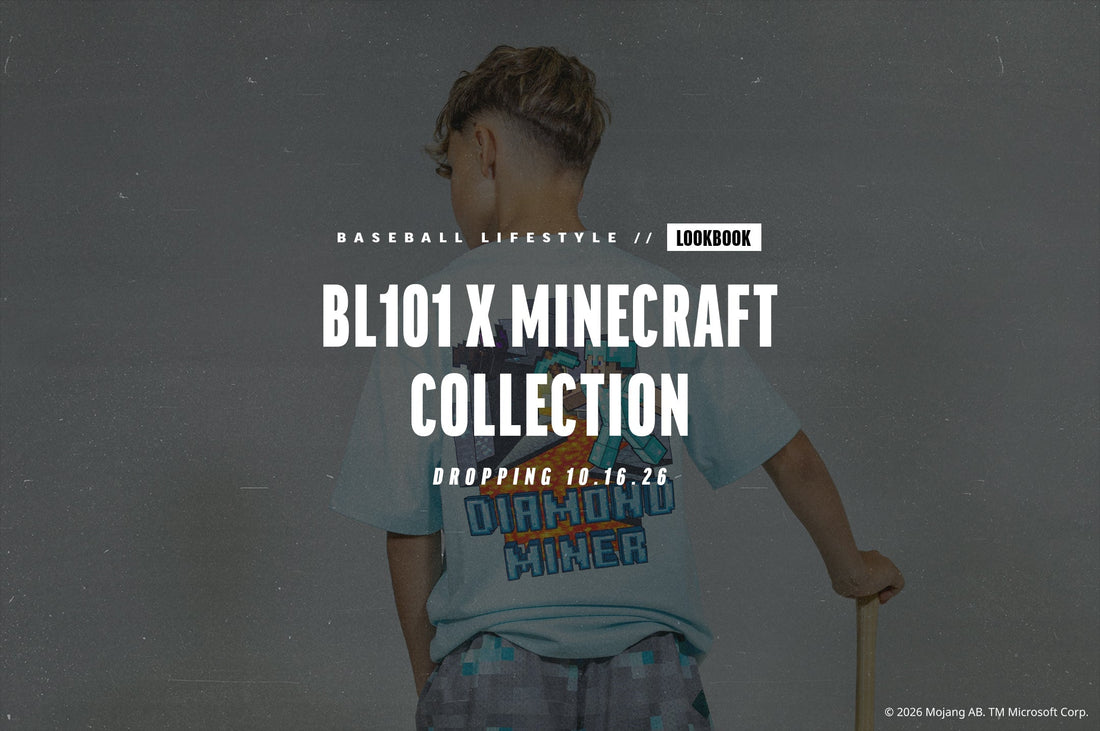 BL101 X Minecraft Collection