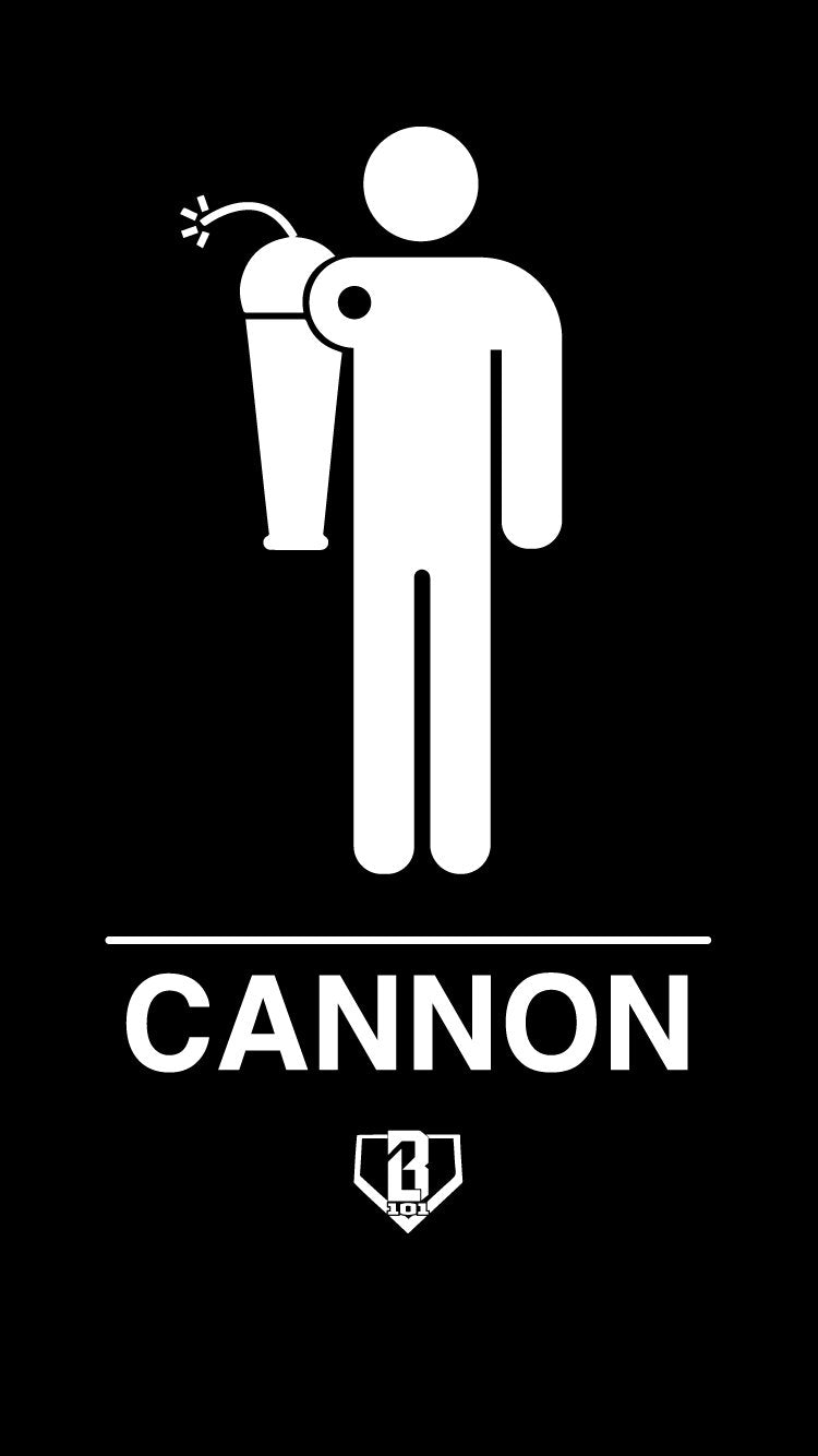 Wallpaper Wednesday - Cannon