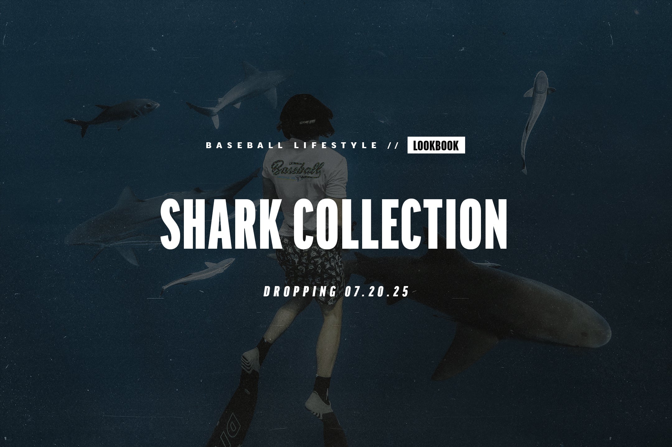 Shark Collection Lookbook