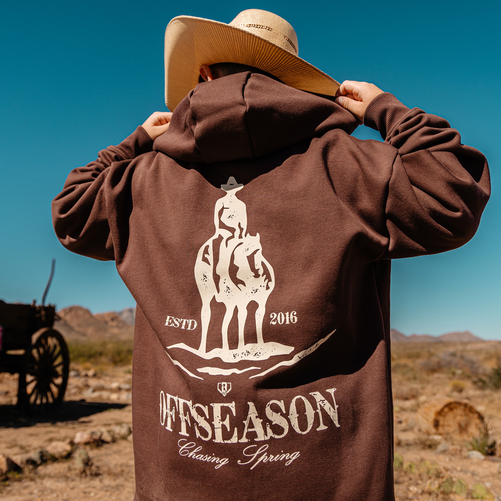 Bat and Bridle Hoodie - Baseball Lifestyle 101