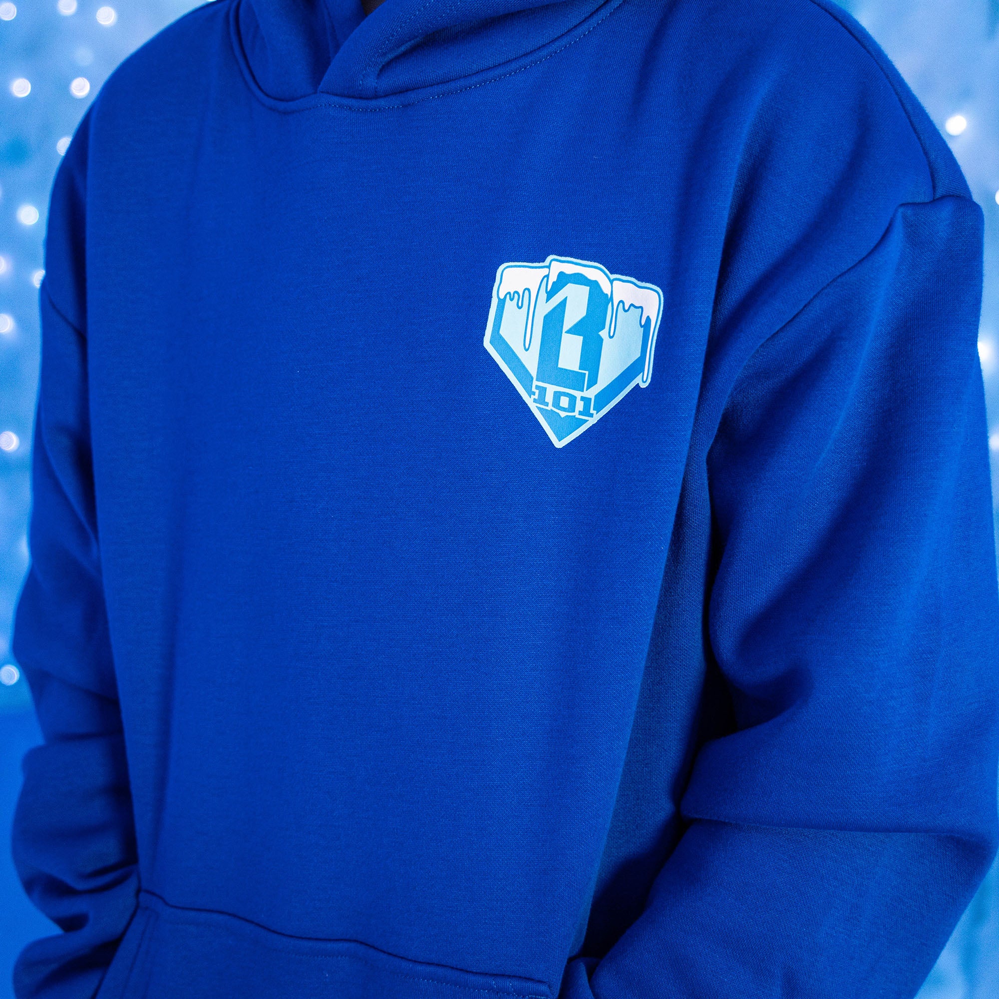 Blue hoodie with a frosted BL101 logo on the chest against a blue background