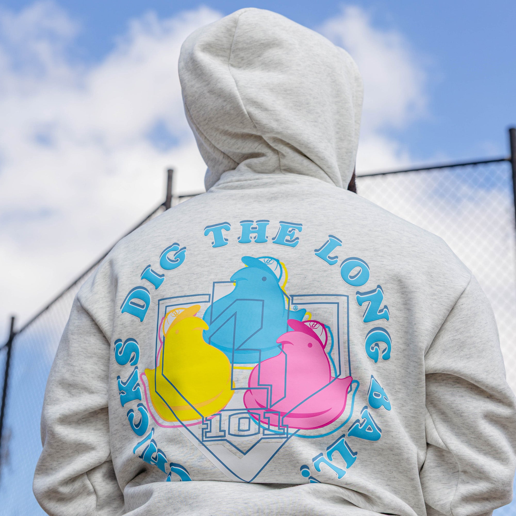 Gray hoodie with colorful peeps graphic design and 'Chicks dig the long ball!' text on the back against a blue sky.