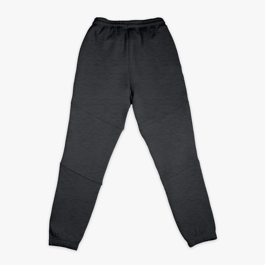Gray Baseline joggers — back view