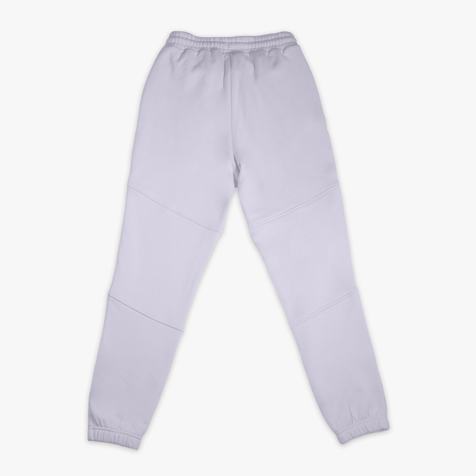 Purple Baseline joggers — back view