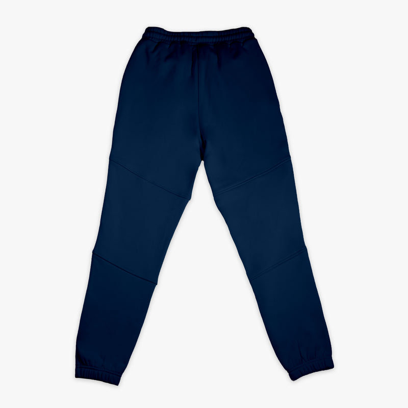 Navy Baseline joggers — back view