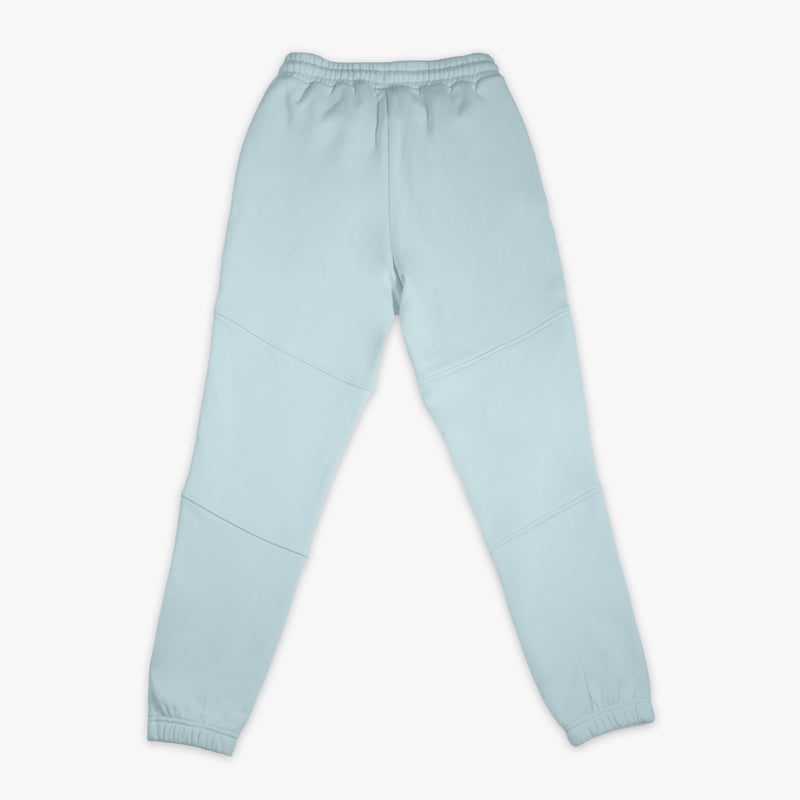 Blue Baseline joggers — back view