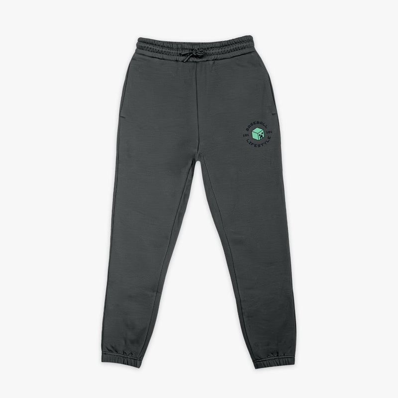 Gray youth joggers with "BL101 X Minecraft Athletics" design — front view