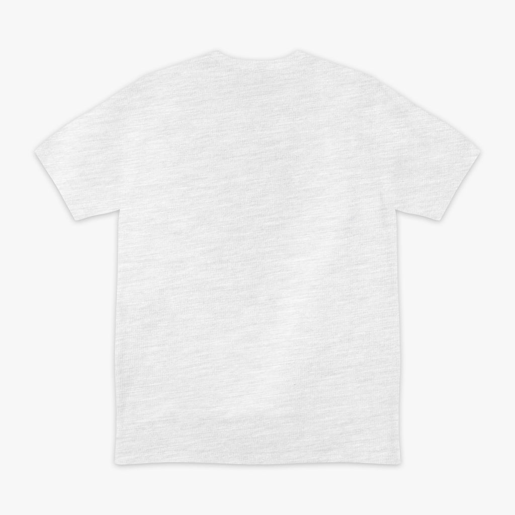 Gray t-shirt on a white background