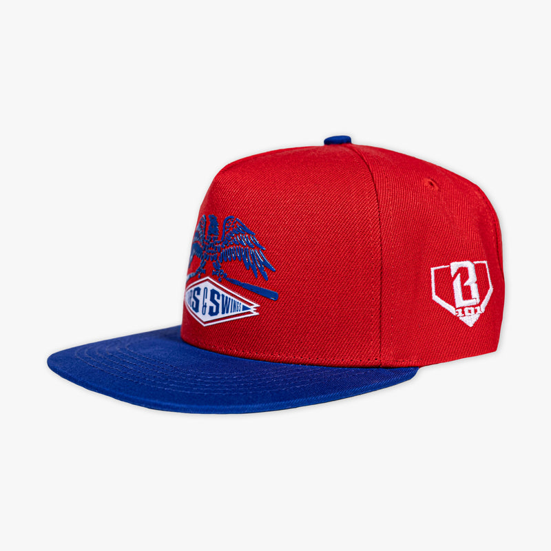 Freedom Swings Snapback