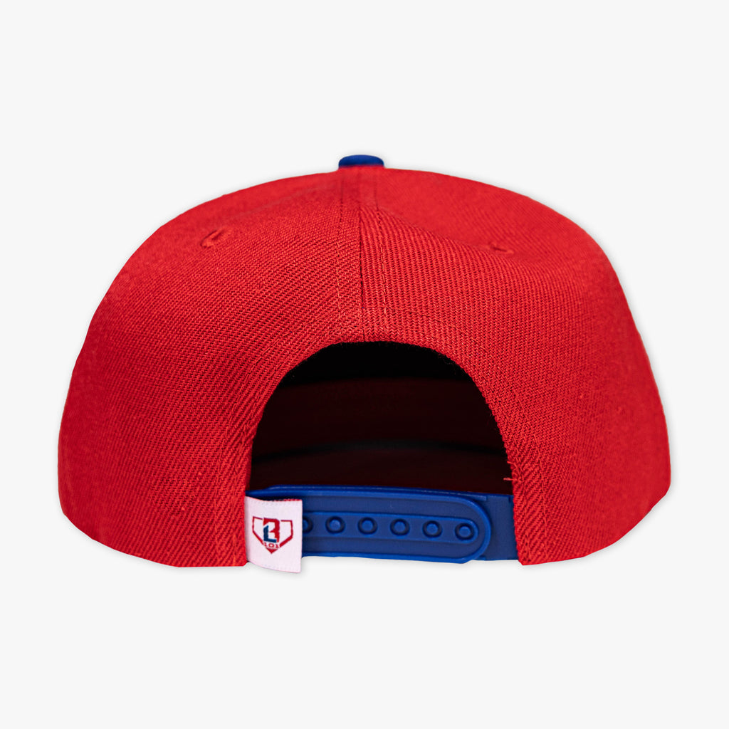 Freedom Swings Snapback