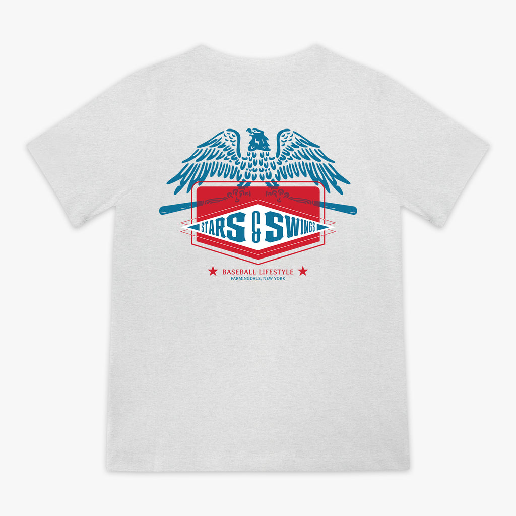 Heather gray youth short sleeve tee with blue spread-wing eagle above Stars and Swings badge graphic with crossed bats and Baseball Lifestyle Farmingdale New York text on white background