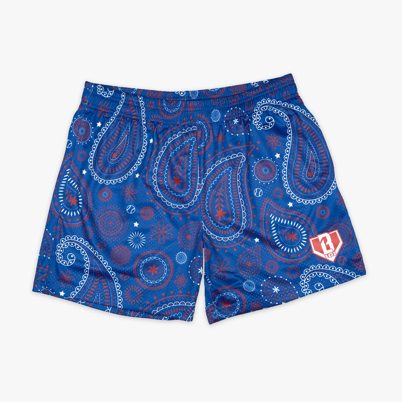 Youth model wearing blue Paisley Liberty youth shorts