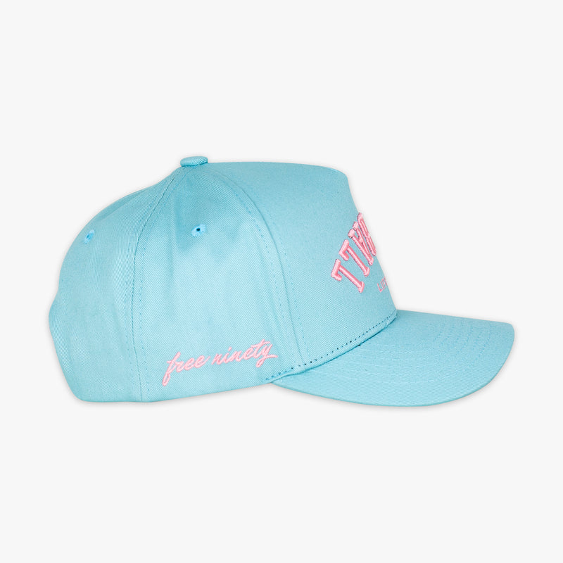 Light blue and pink Upside Down Baseball hat — back view