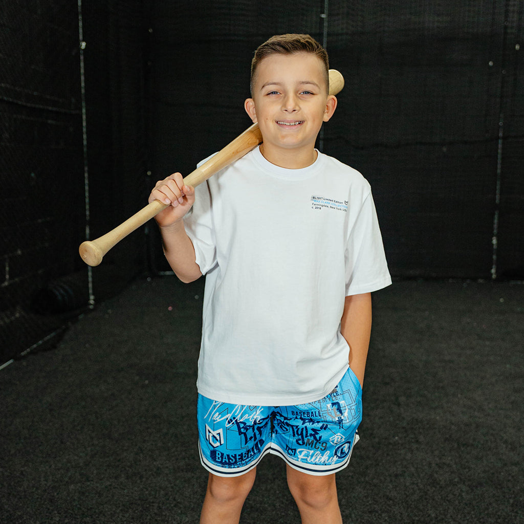 Young boy holding a baseball bat in front of a black netting