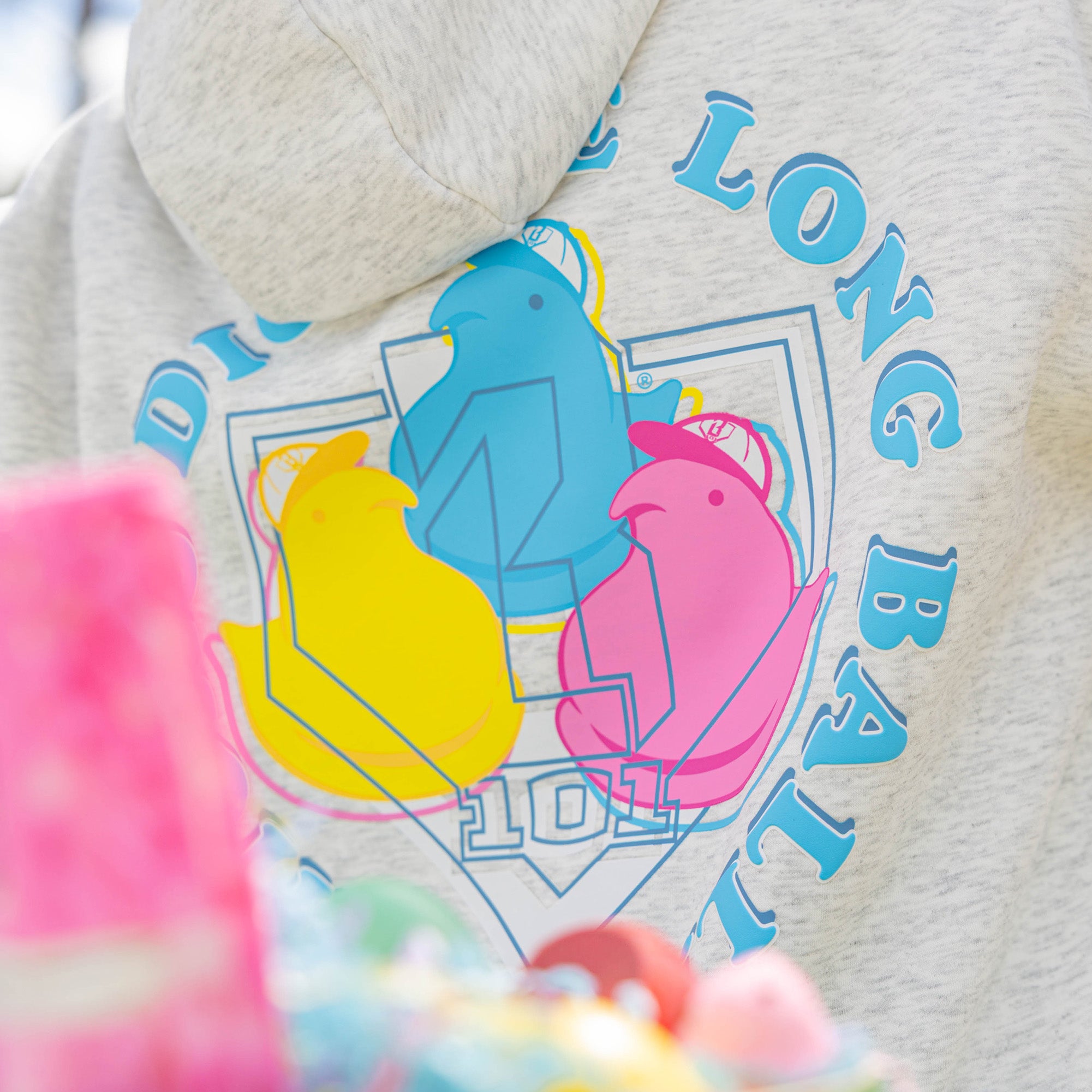 Gray hoodie with colorful peeps graphic design and text on a blurred background