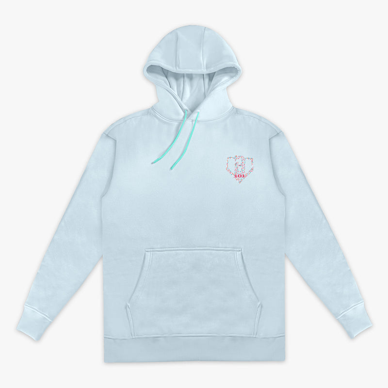 Adult model wearing hoodie with "Safe N Sweet" design