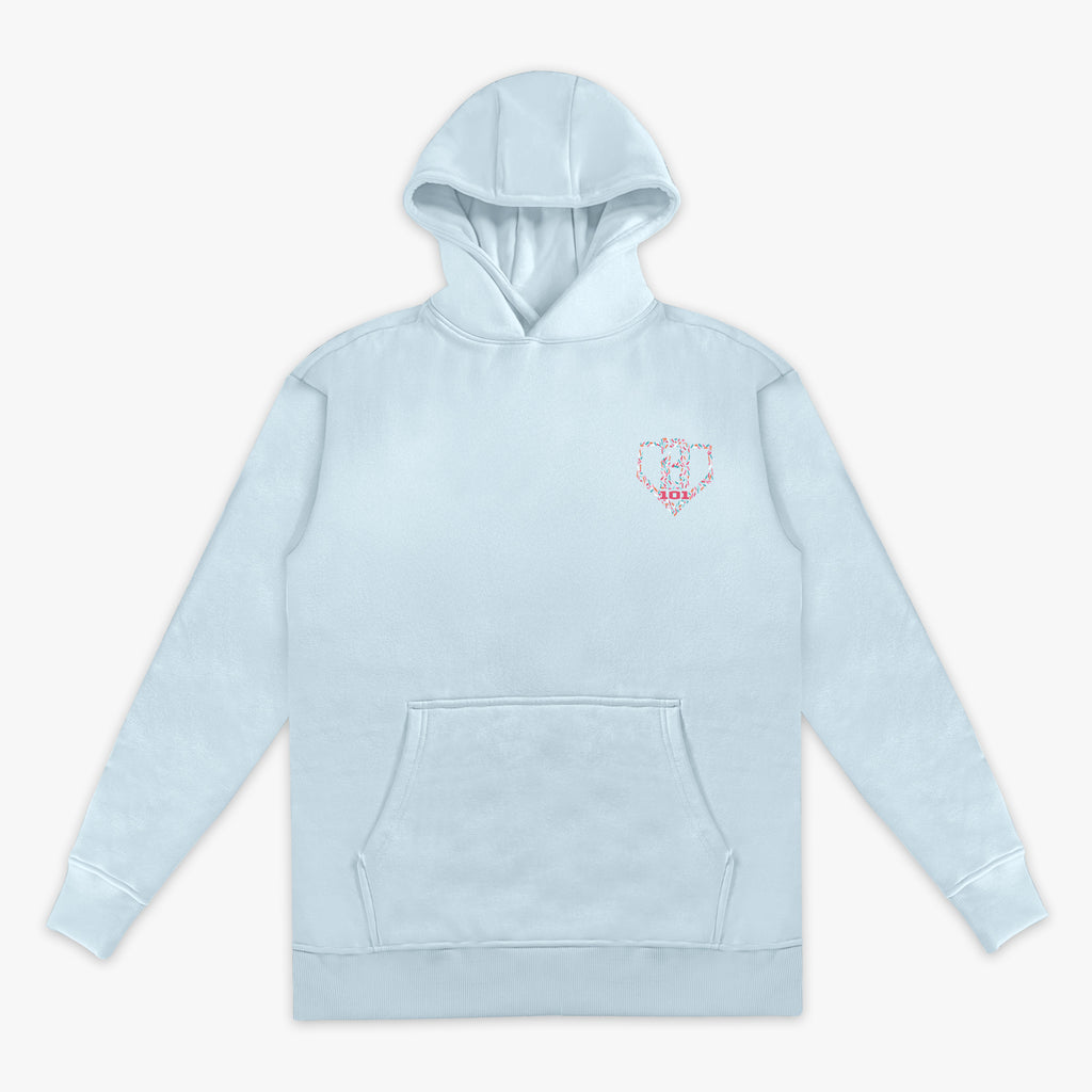 Youth model wearing youth hoodie with "Safe N Sweet" design